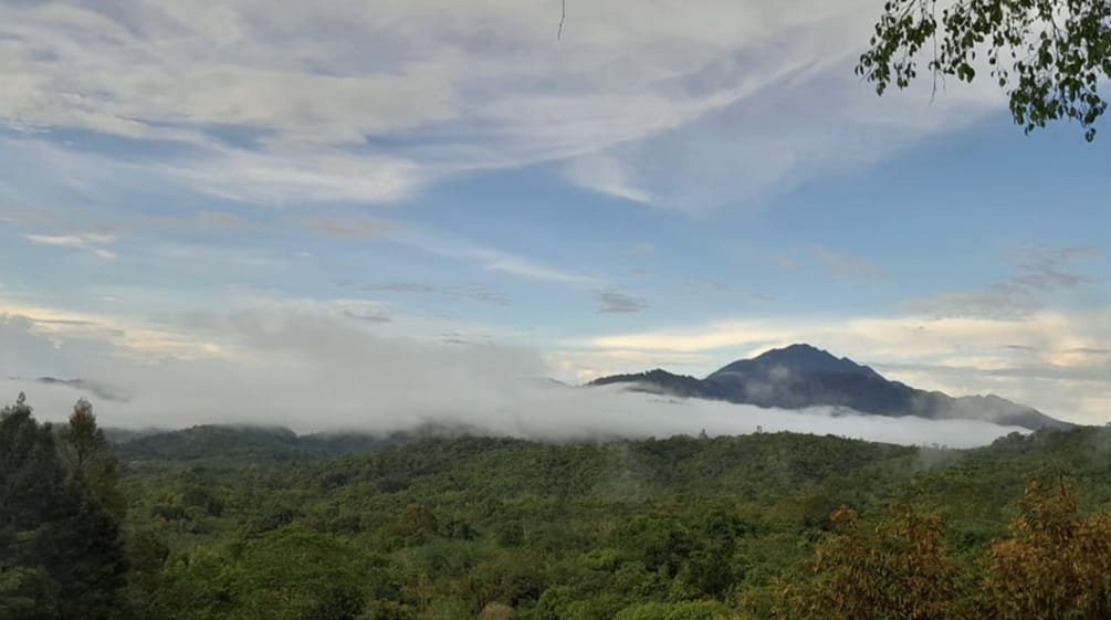 Panorama de la forêt tropicale sur une montagne