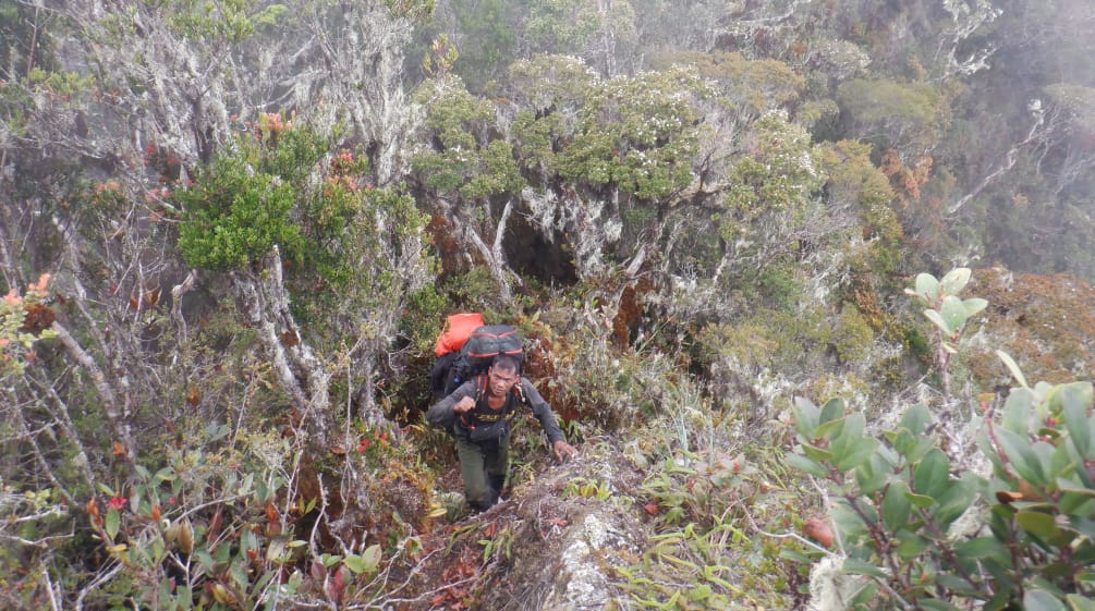 Garde forestier avec sac à dos sur un terrain difficilement praticable