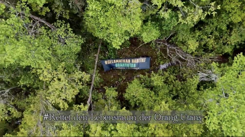 Photo prise par un drone. Dans une forêt, une bannière apparaît avec l’inscription « Sauvez l’habitat des orangs-outans »