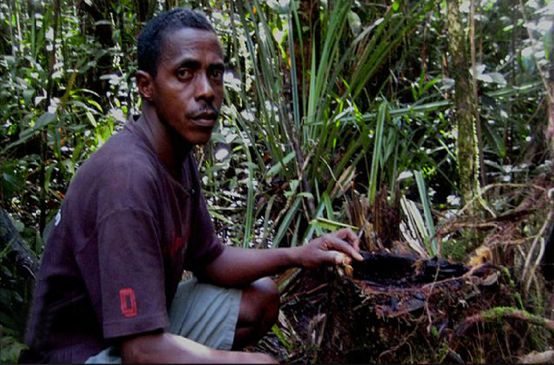 Armand Marozafy, militant écologiste, guide touristique et président du comité d’orientation et de soutien des aires protégées dans la région de Masoala