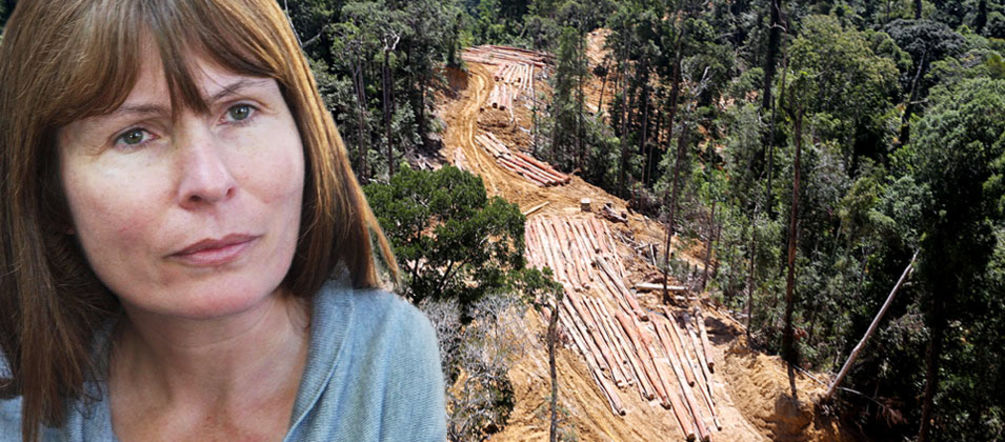 La journaliste Clare Rewcastle-Brown est poursuivie pour informer sur la corruption et la déforestation en Malaisie Photomontage : la rédactrice en chef du site Sarawak Report avec pour arrière plan une photo aérienne de déforestation