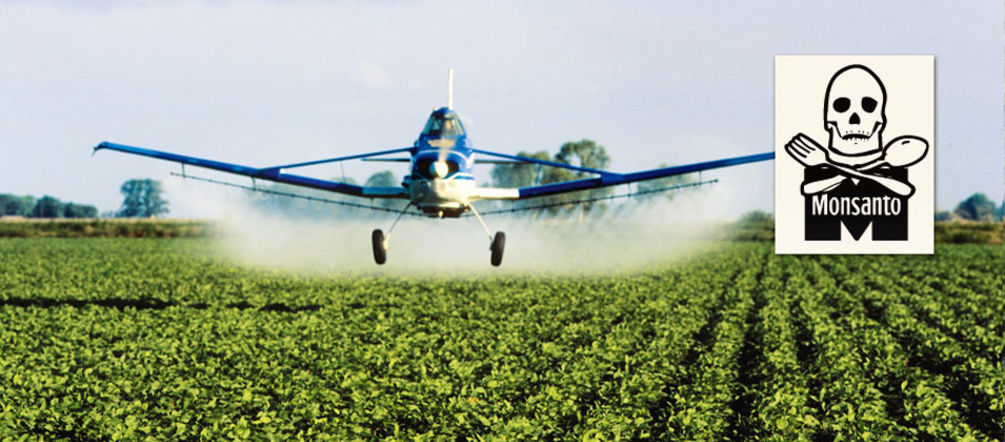 Les herbicides de Monsanto empoisonnent l’homme et la nature Un avion pulvérise des pesticides sur une plantation de soja