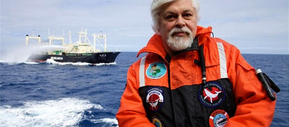 Paul Watson travaille sans relâche pour protéger les océans (photo: Sea Shepherd, Barbara Veiga)