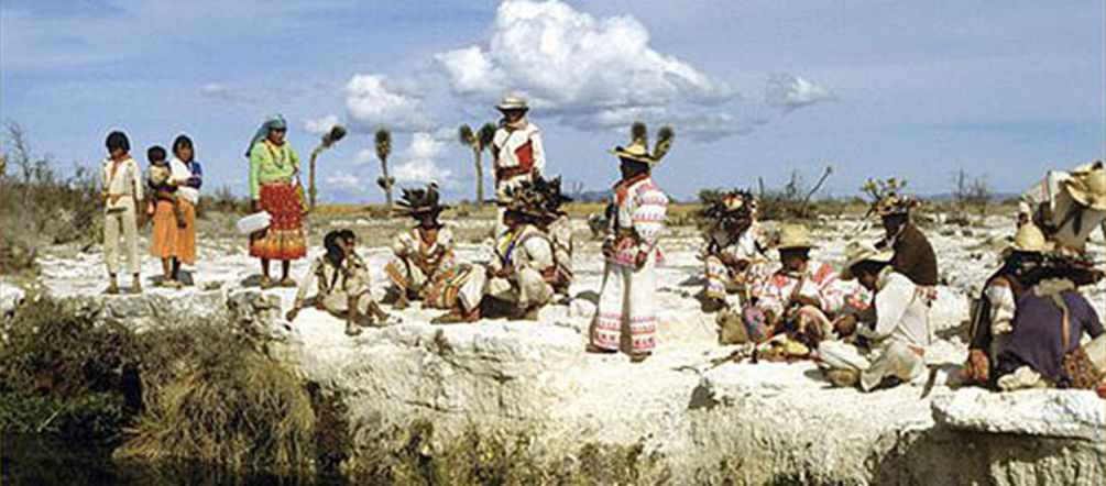 Huicholes à Wirikuta