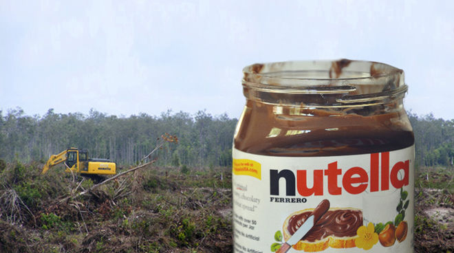 Amendement Nutella  un premier pas  franchir Sauvons 